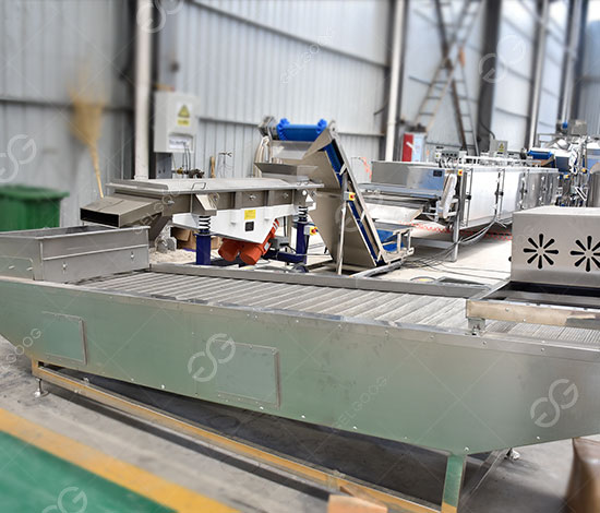 Línea de producción de anacardos tostados sazonados GELGOOG